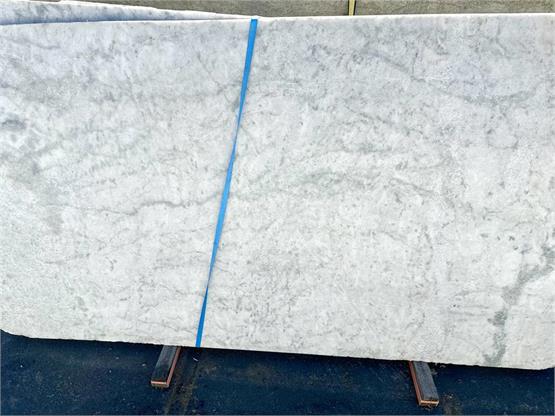 Blanco Venatino